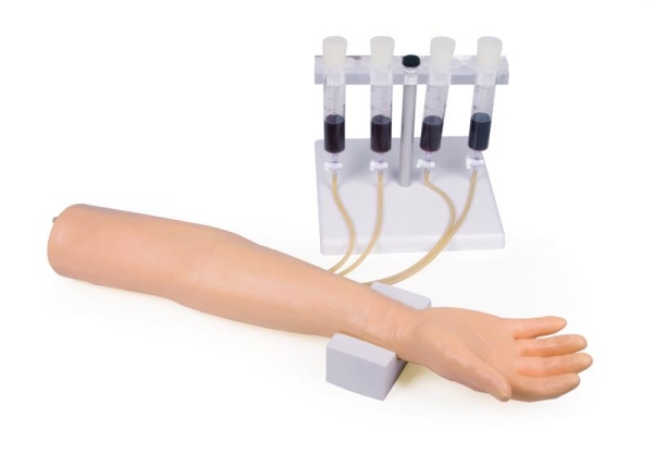 (7010) Training Arm for Intravenous Injection and Infusion