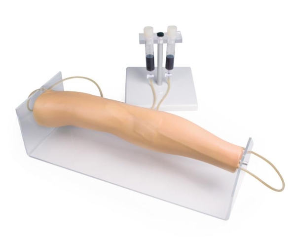 (7020) Training Arm for Intravenous Injection