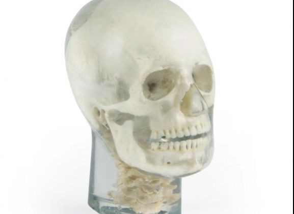 https://www.jayakelana.co.id/uploads/product/-7300-x-ray-phantom-head-788086d6d940225_cover.jpg