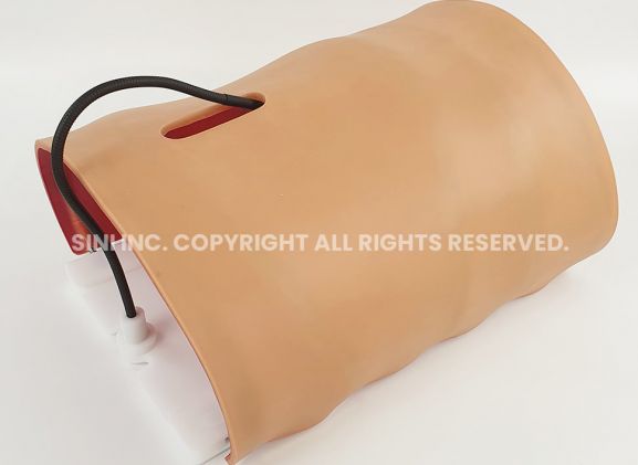 https://www.jayakelana.co.id/uploads/product/-a-lpl-01-laparoscopic-body-type-806753863c1ae61_cover.jpg