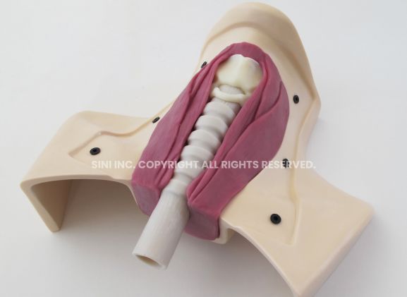 https://www.jayakelana.co.id/uploads/product/-h-tct-01-tracheotomy-trainer-42982278b2349be_cover.jpg