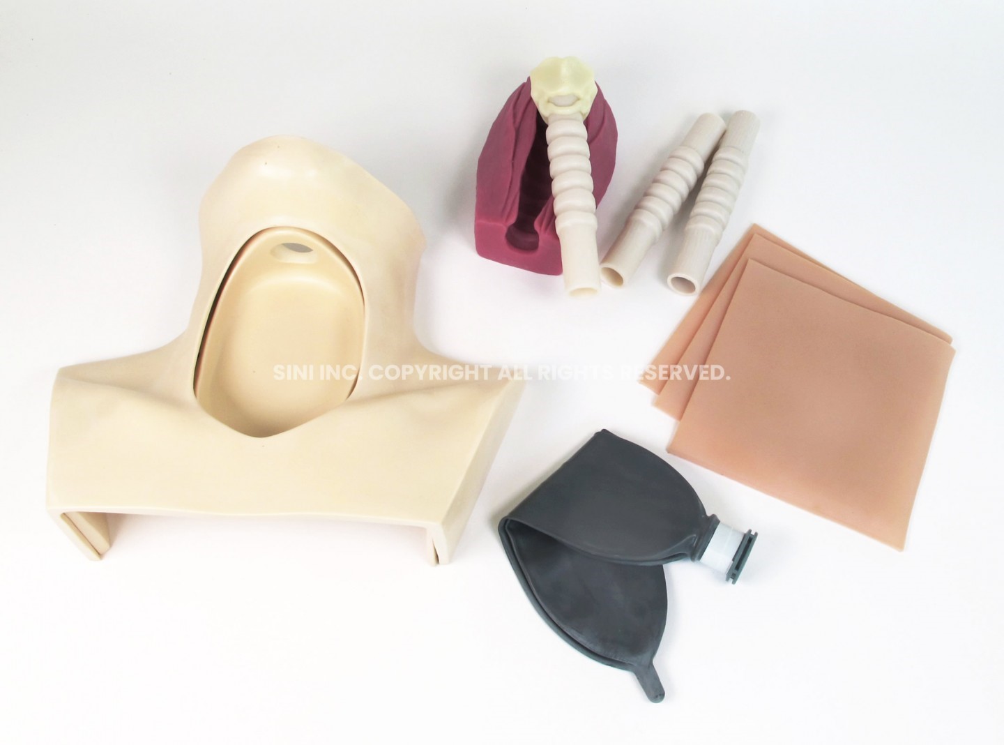 (H-TCT-01) Tracheotomy Trainer