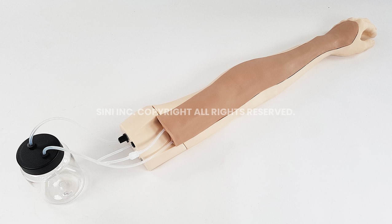 (L-IVA-02) Intravenous Injection Arm Trainer