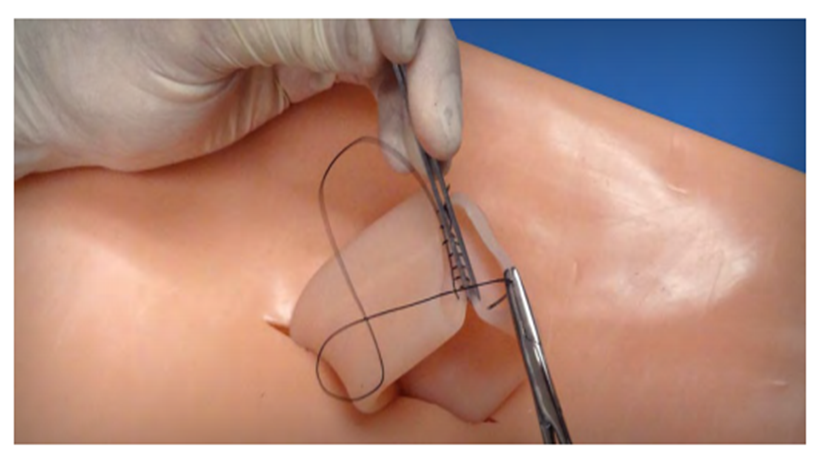 (LPM-10) LAPAROTOMY TRAINER 