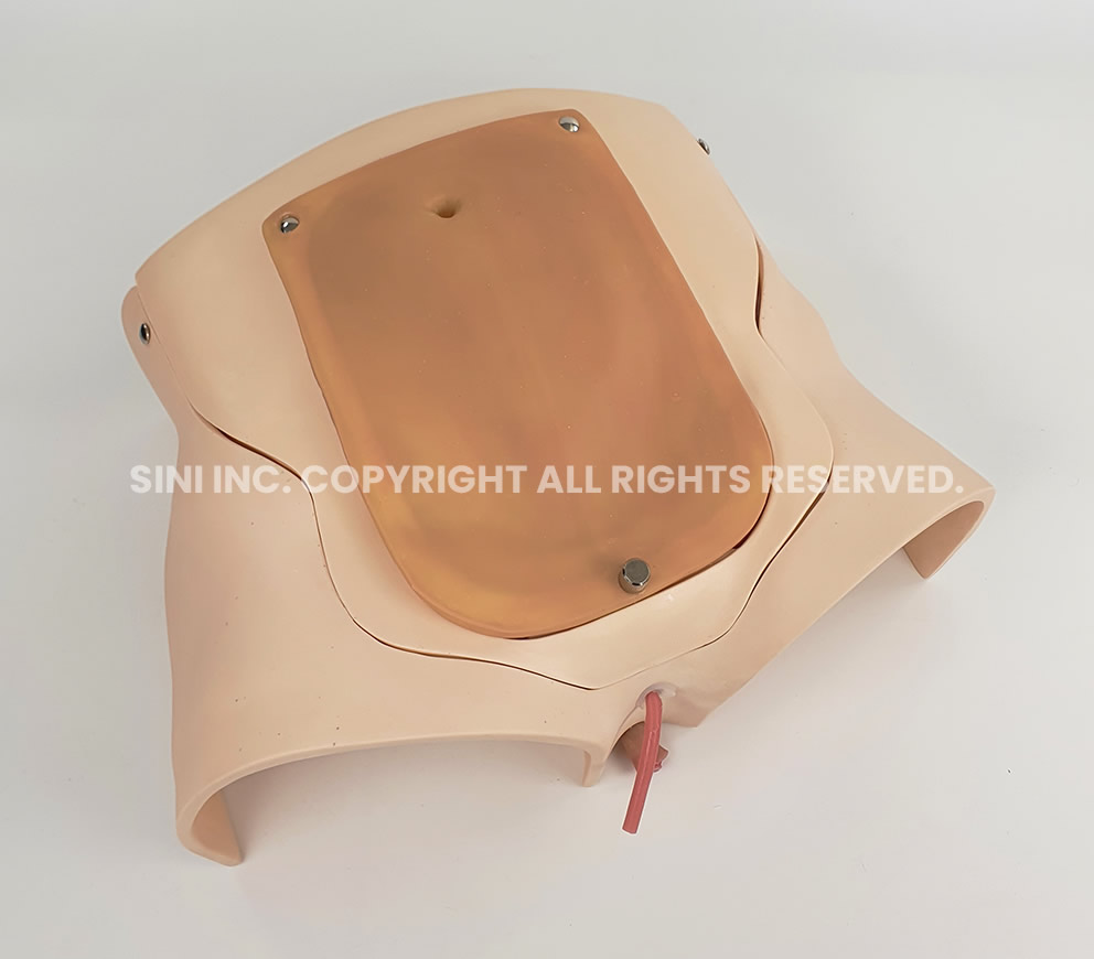 (P-PRT-01) Prostatectomy Trainer (Intuitive e-RARP)