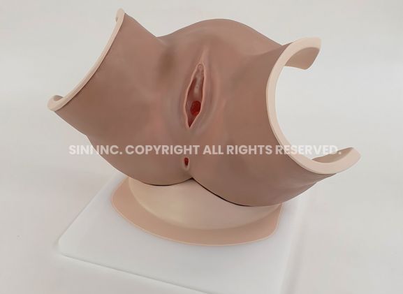 https://www.jayakelana.co.id/uploads/product/-p-vag-01-vaginitis-model-81552fd3b54357e_cover.jpg