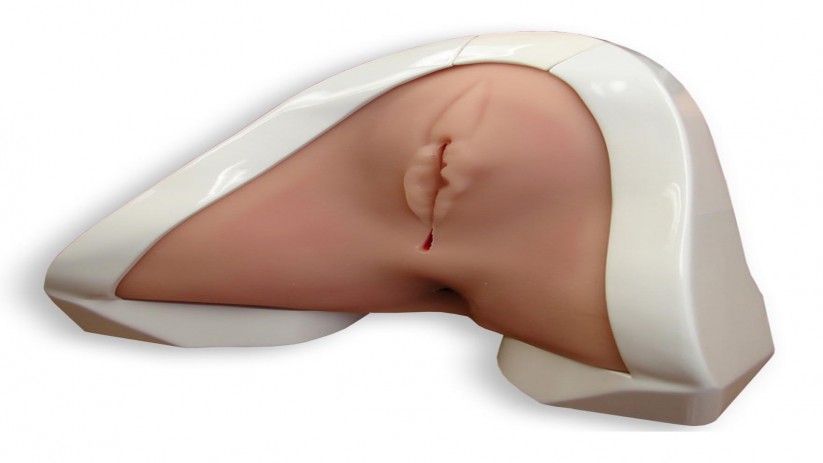 (PRT-20) PERINEAL REPAIR TRAINER 