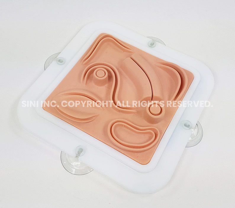 (S-LKD-01) Laparoscopic Training Kit D