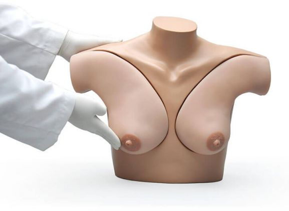 https://www.jayakelana.co.id/uploads/product/-s230-42-breast-examination-skills-4251411f61f6164_cover.jpg