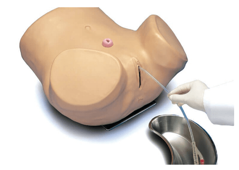 (S230.6) ADVANCED PATIENT CARE FEMALE CATHETERIZATION SKILLS TRAINER 