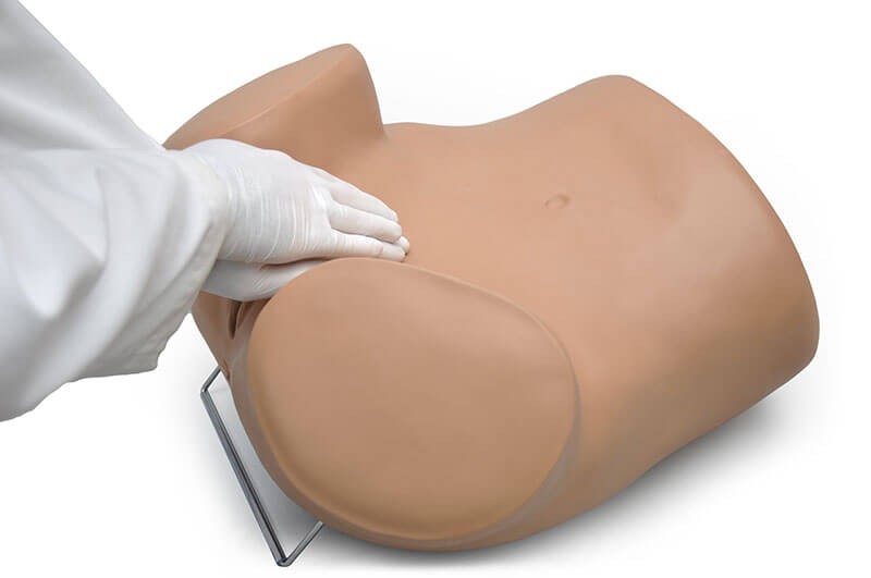 (S503) SIMA GYN/AID&reg; Gynecologic Simulator