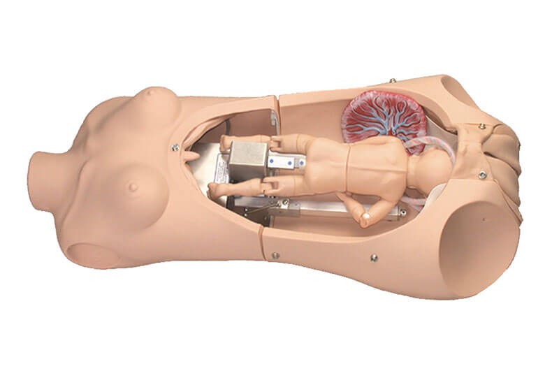 (S552) NOELLE&reg; Automatic Childbirth Skills Trainer Torso with OMNI