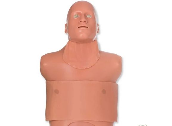https://www.jayakelana.co.id/uploads/product/-tm-5138-traumaman-surgical-simulator-76451fed8e861c1_cover.jpg