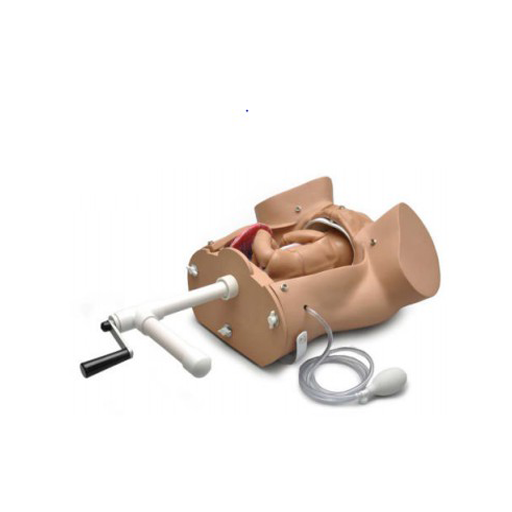 (S500.100) OB SUSIE&reg; - ADVANCED CHILDBIRTH SKILLS TRAINER TORSO