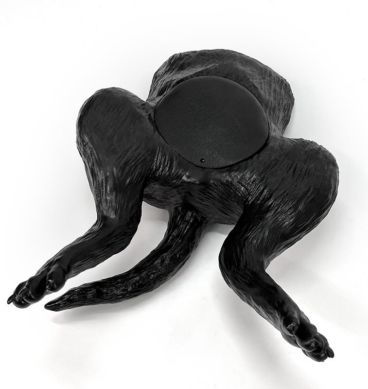 (VET4640) Ultrasound Trainer Dog Bladder