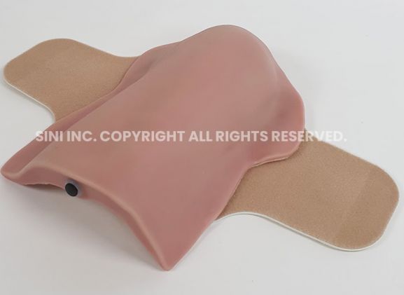 https://www.jayakelana.co.id/uploads/product/deltoid-intramuscular-injection-trainer-3618154088c3781_cover.jpg