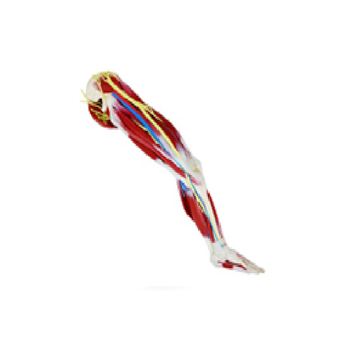 (102485) SILICONE LEG LEFT 