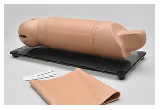 (S519) RITA&trade; REPRODUCTIVE IMPLANT TRAINING ARM