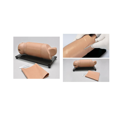 (S519) RITA REPRODUCTIVE IMPLANT TRAINING ARM 