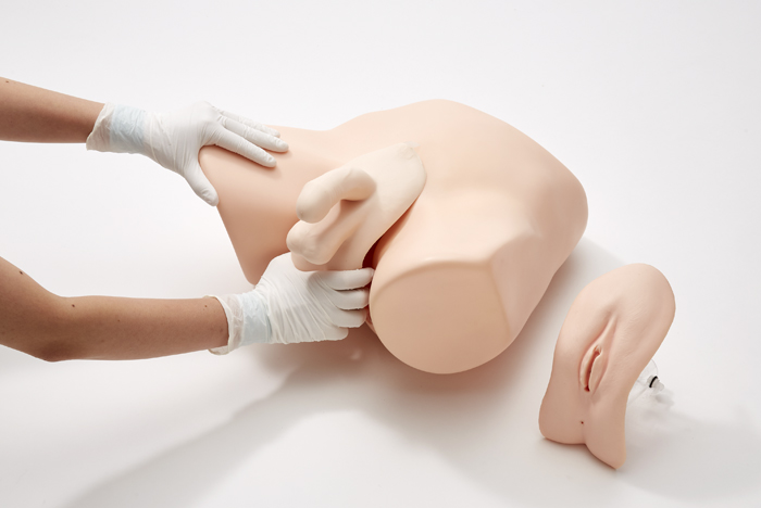 (M200-2) MALE CATHETERIZATION & ENEMA SIMULATOR