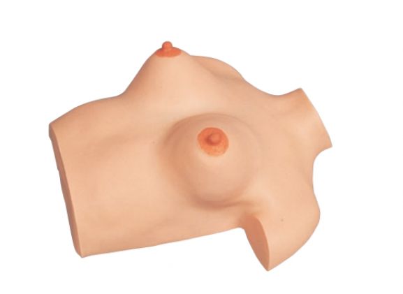 https://www.jayakelana.co.id/uploads/product/model-pijat-payudara-simulator-9749442cf66a1db_cover.png