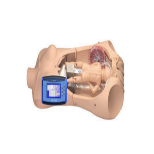 (S550/S551/S552) NOELLE BIRTHING TORSO WITH OMNI 2 AND AVAILABLE SKIN TONES OPTIONS 