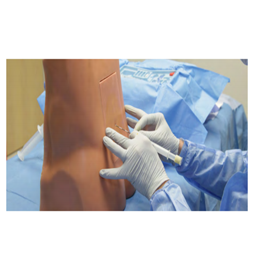 (LE-30) LUMBAR EPIDURAL TRAINER 