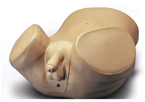 (S230.3) ADVANCED PATIENT CARE MALE PROSTATE SKILLS TRAINER 