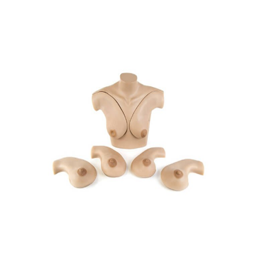 (S230.40) BREAST PALPATION SKILLS TRAINER TORSO 