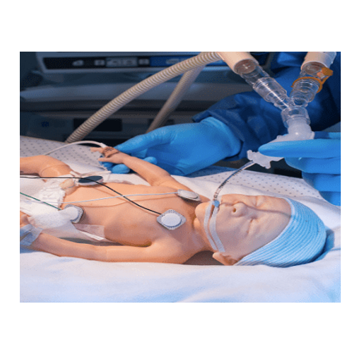 (S2209) PREMIE HAL - 30-WEEK PREMATURE INFANT PATIENT SIMULATOR 